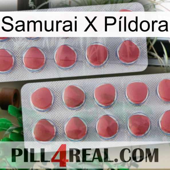 Samurai X Píldora 19.jpg